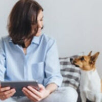 PetCustody PetCustody