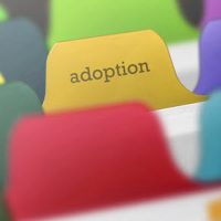 adoption4 adoption4
