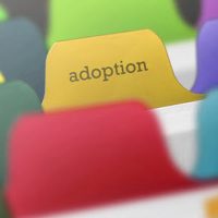 adoption4